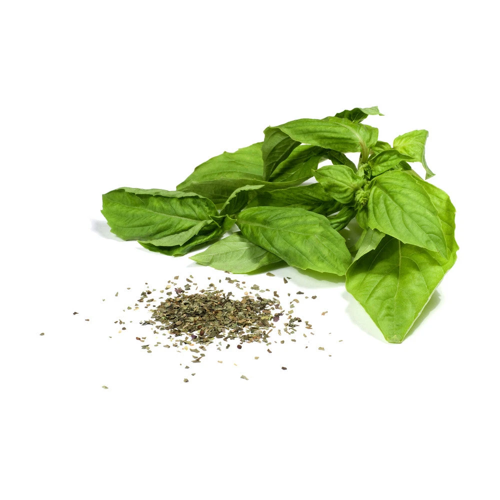 Basil, Cinnamon (Mexican Basil) 6 Basil, Cinnamon (Mexican Basil) - Image 4