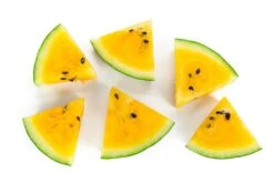 Watermelon - Moon & Stars (Yellow-flesh) -seedsnow Sales Store shutterstock 723173389 79b8678f bcb7 480c a2c0 086a20030531