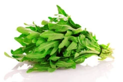 Arugula - Roquette (Rocket) -seedsnow Sales Store shutterstock 80969098
