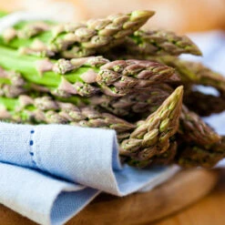 Asparagus - Mary Washington (Seeds) -seedsnow Sales Store shutterstock 81541360