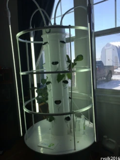 All-in-One Tower Garden Variety Pack -seedsnow Sales Store smalloriginal 1 a0ca8a2e 4ae7 4fa9 9213 bd7befaea73f