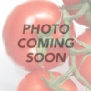 Tomato - Thessaloniki (Indeterminate) -seedsnow Sales Store soon 500x d0afc340 cc1e 4764 9ac2 658f848d1590