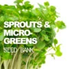All-in-One Sprouts/Microgreens Seed Bank W/Sprouting Jar 1 All-in-One Sprouts/Microgreens Seed Bank W/Sprouting Jar -seedsnow Sales Store sp2