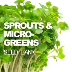 All-in-One Sprouts/Microgreens Seed Bank W/Sprouting Jar