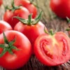 Tomato - Sub Arctic Plenty (Early) (Determinate) -seedsnow Sales Store sub arctic plenty tomato seeds