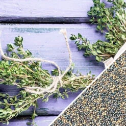 Thyme -seedsnow Sales Store thyme seeds